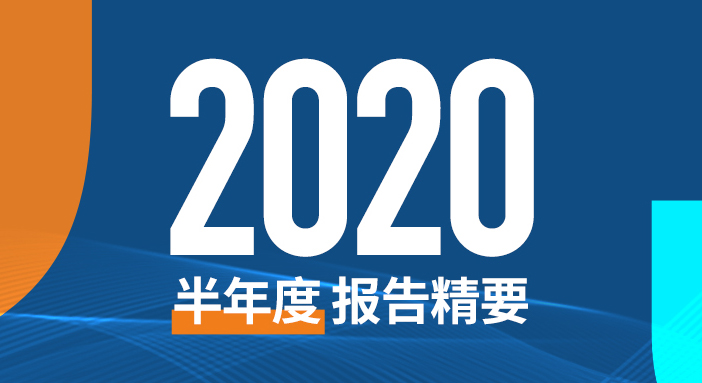 偉星新材2020半年度報告精要